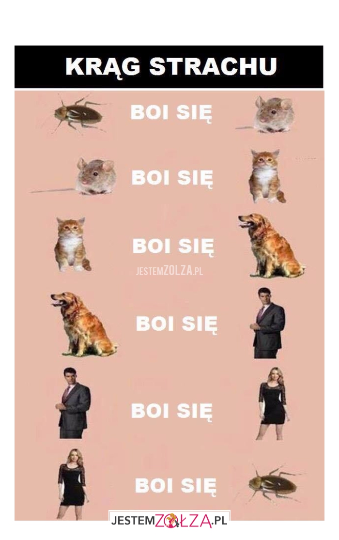 Krąg strachu