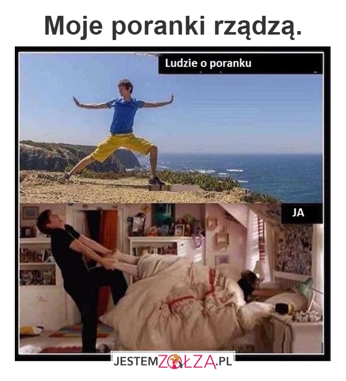 Ranny ptaszek