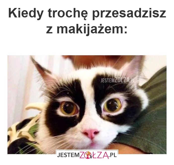 Kiedy trochę przesadzisz...