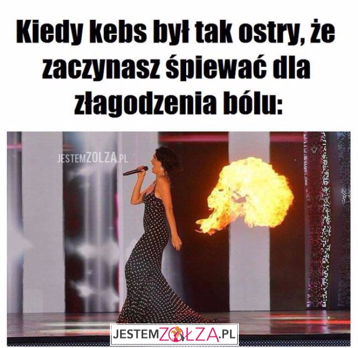 Kiedy kebs...