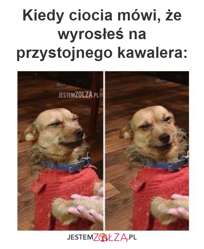 Kiedy ciocia