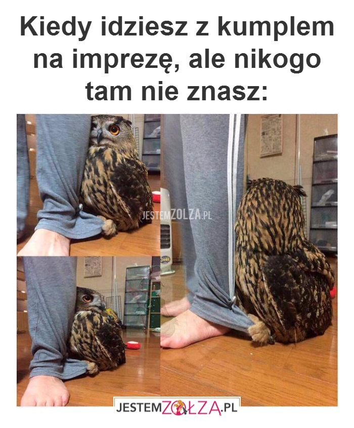 Kiedy idziesz