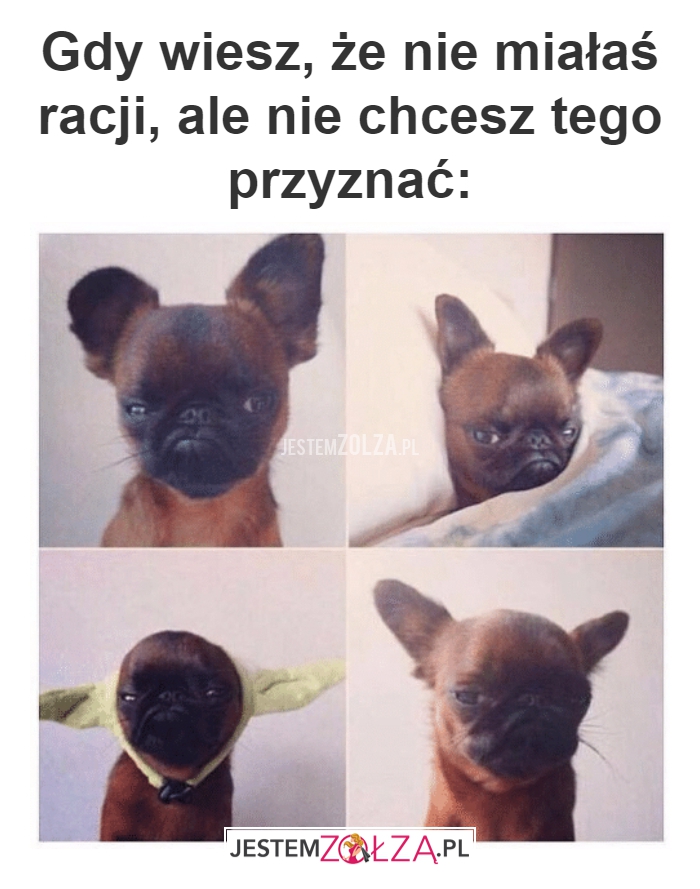 Gdy wiesz, że nie