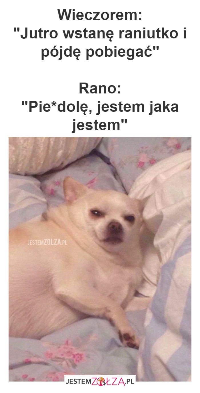 Wieczorem: 