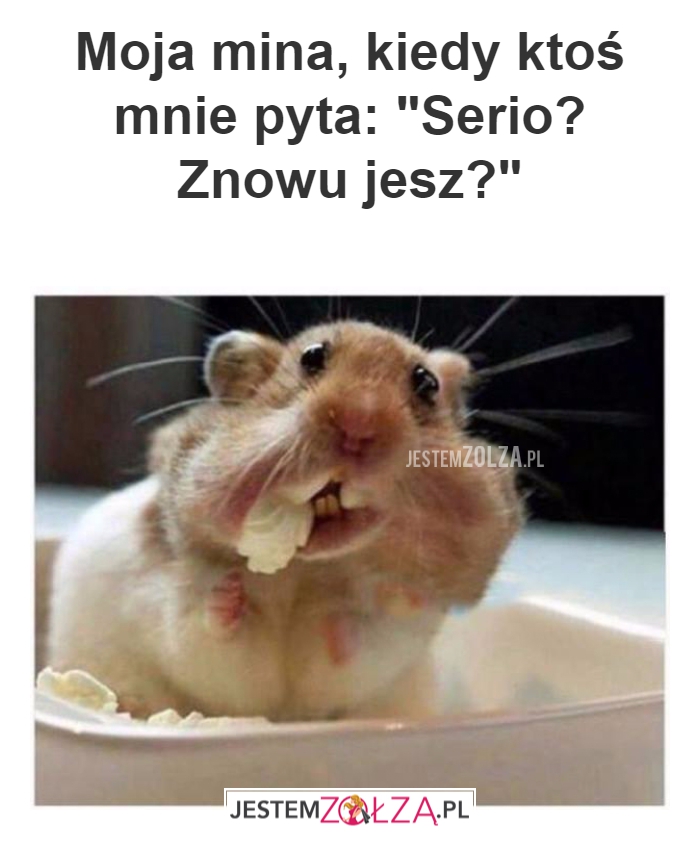 Moja mina