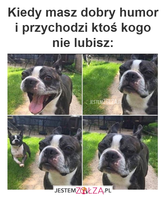Kiedy masz dobry humor