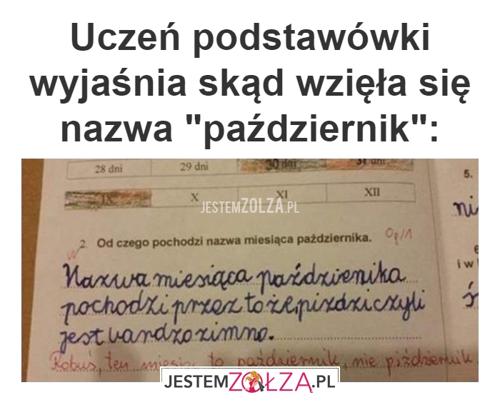Uczeń podstawówki 