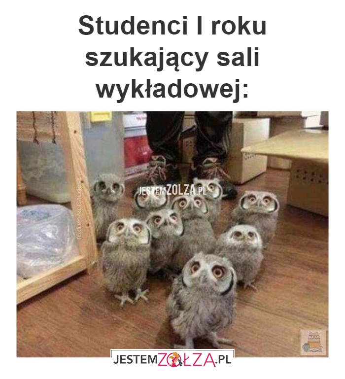 Studenci I roku 