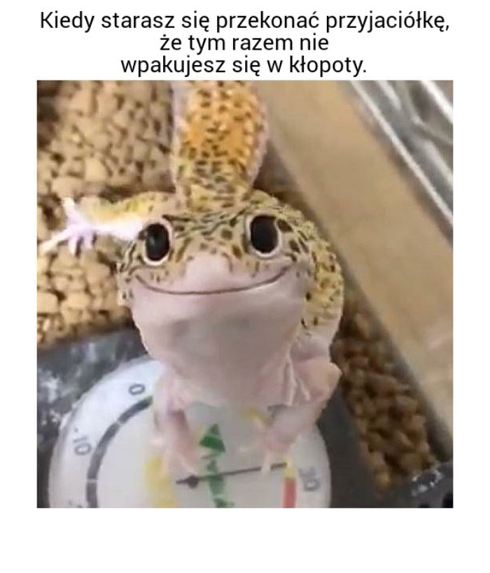 A i tak to robisz