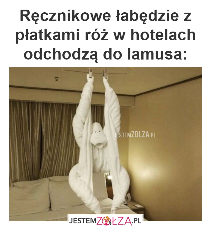 Ręcznikowe łabędzie 