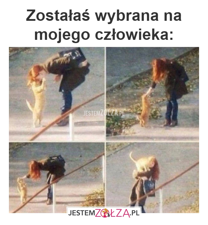 Zostałaś wybrana