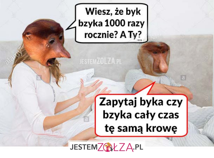 wiesz, że