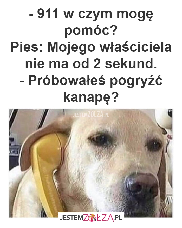 - 911 w czym 
