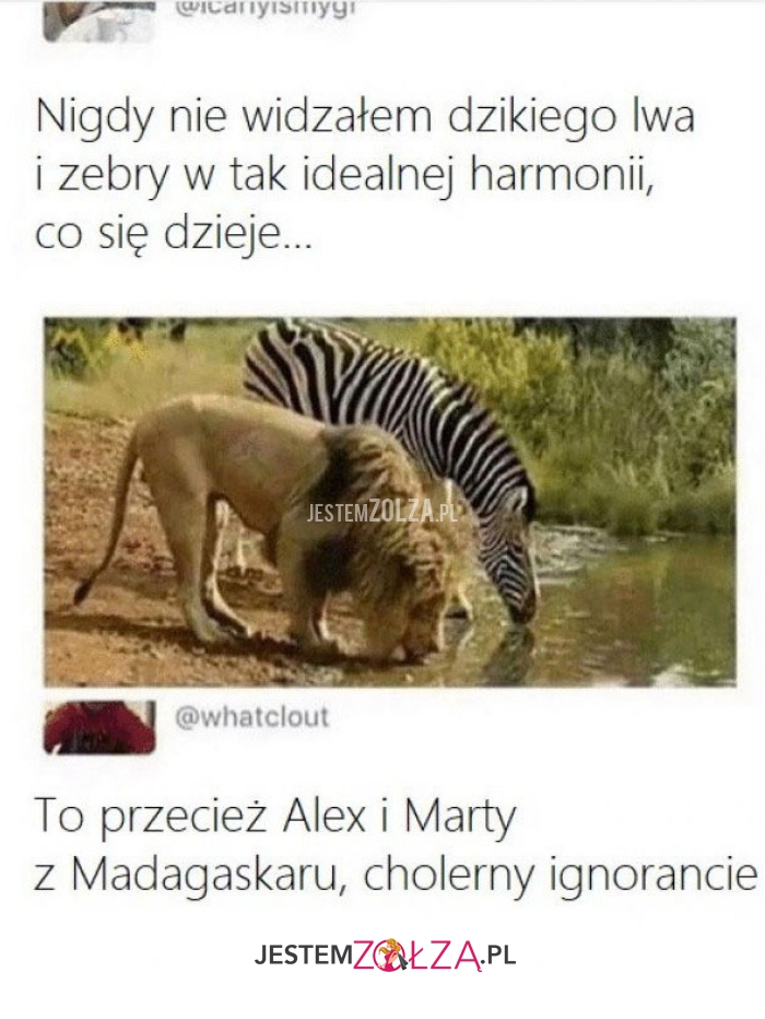 nigdy nie widziałem