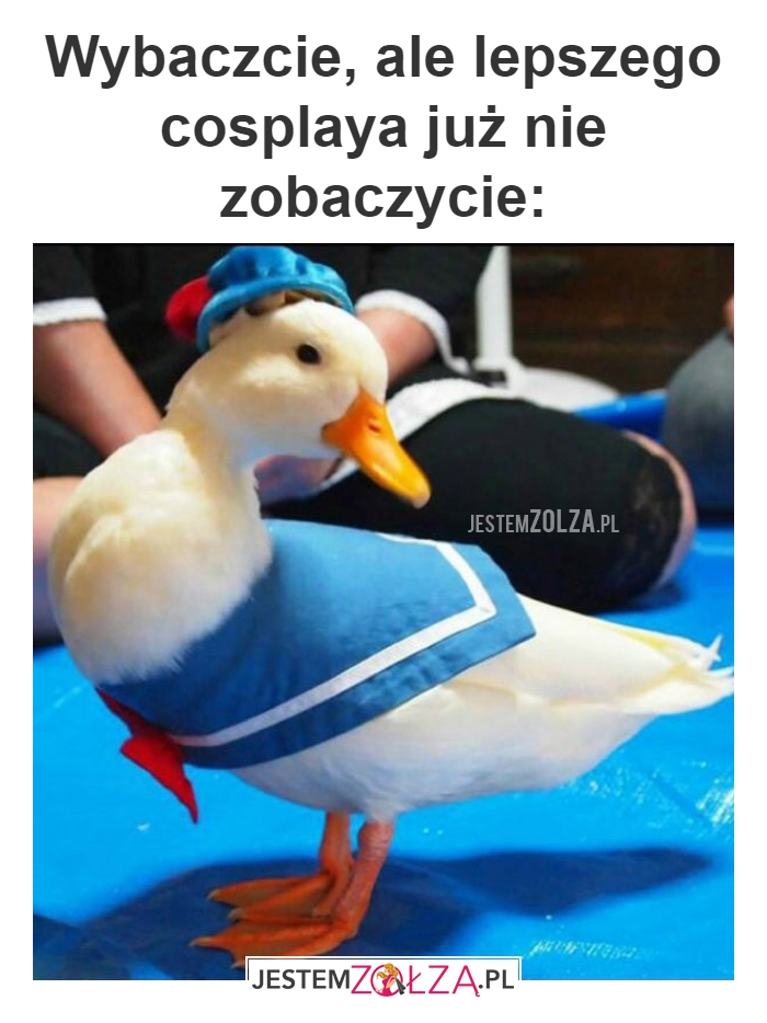 Wybaczcie, ale 