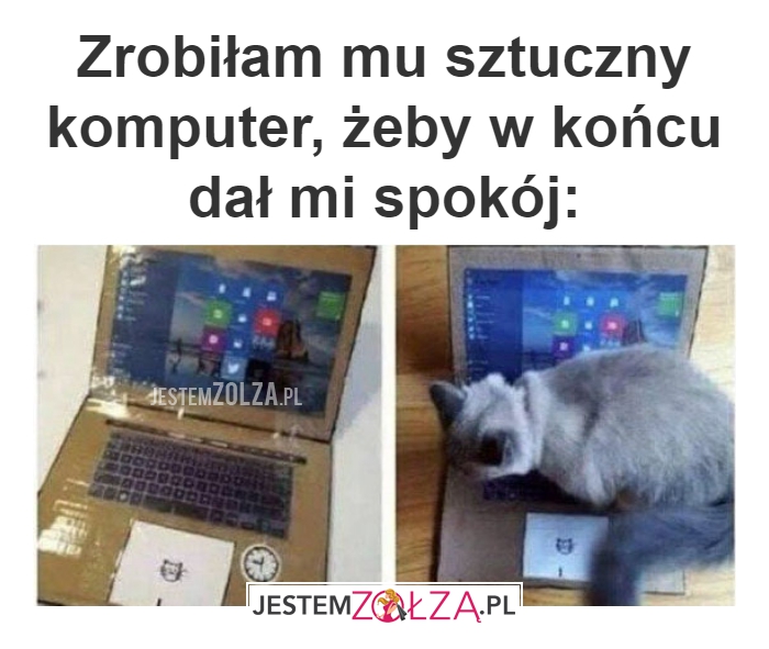 Zrobiłam mu 