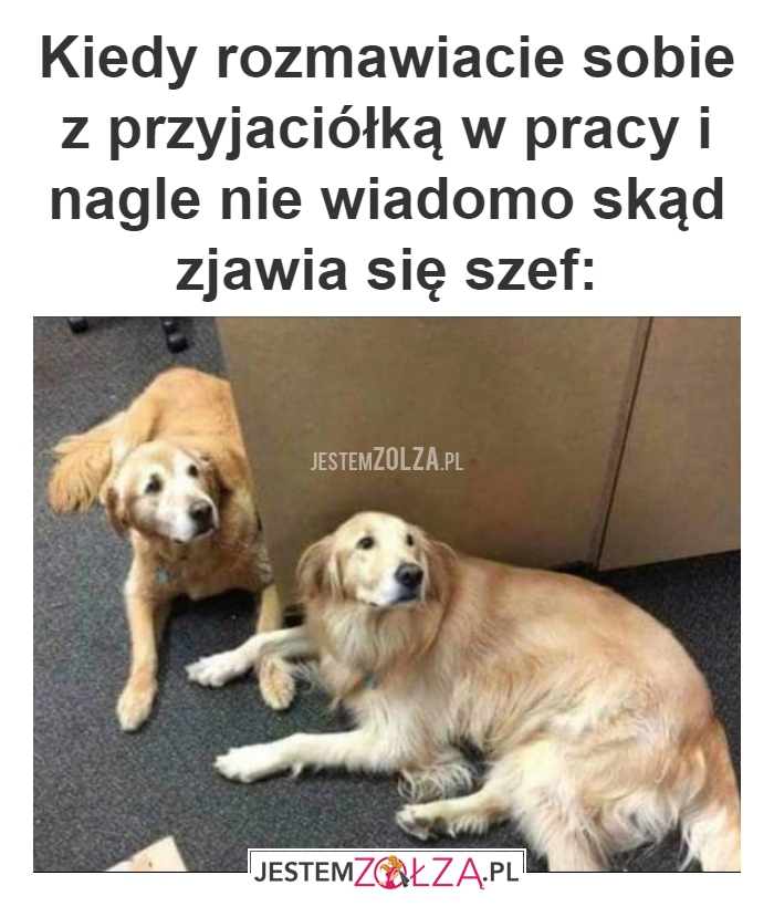 Kiedy rozmawiacie