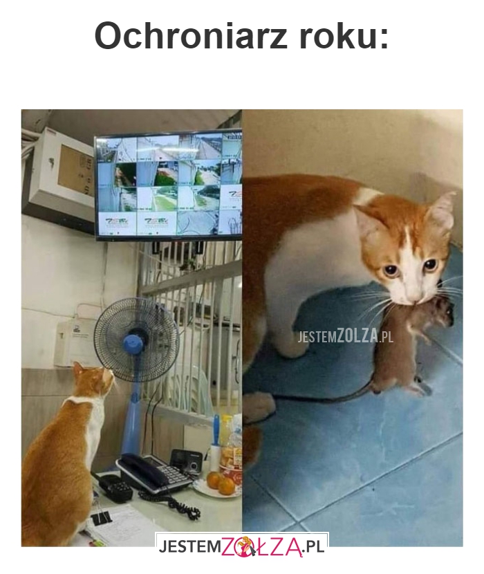 Ochroniarz roku: