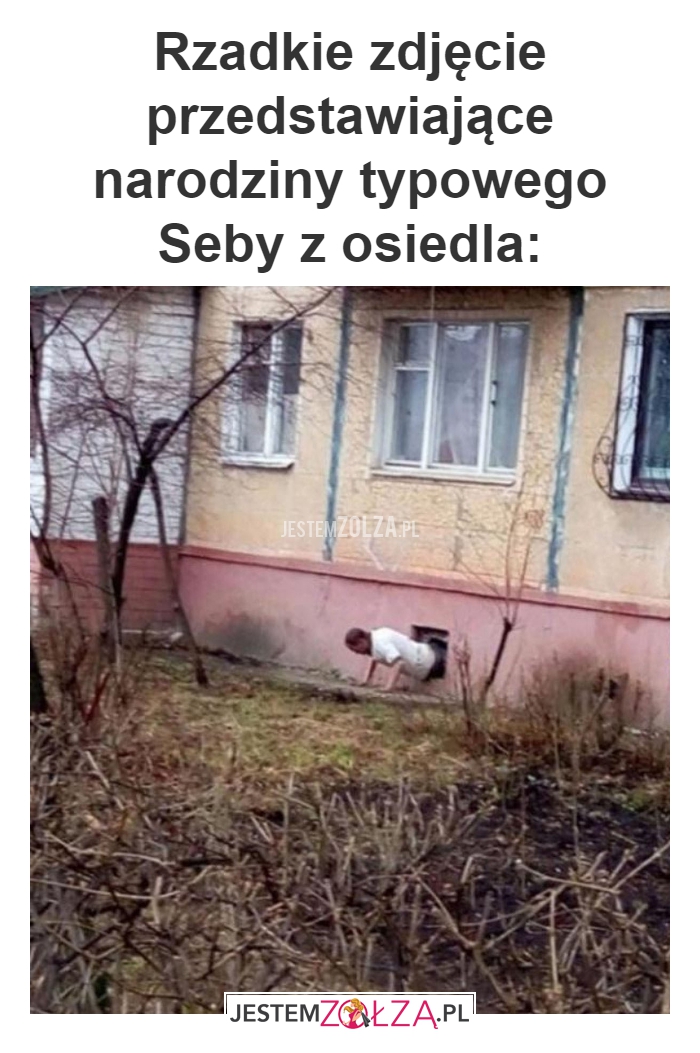 Rzadkie zdjęcie 