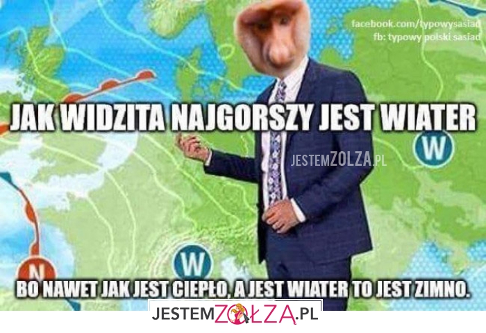 jak widzita