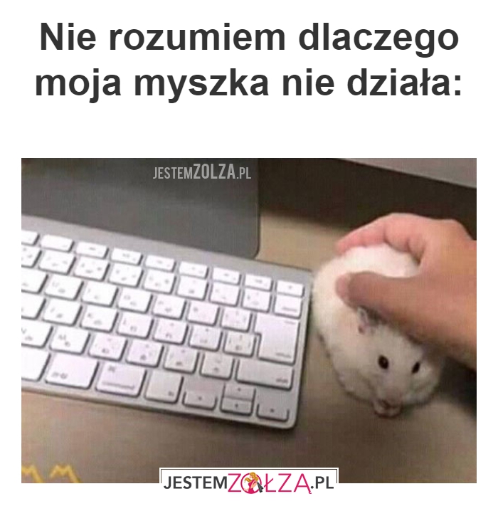 Nie rozumiem 