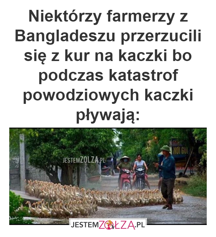 Niektórzy farmerzy 