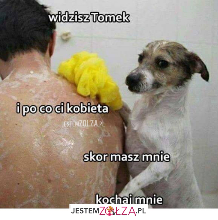 widzisz Tomek