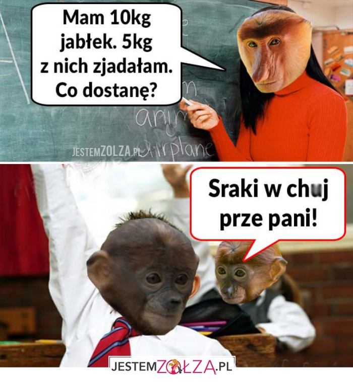 mam 10 kg
