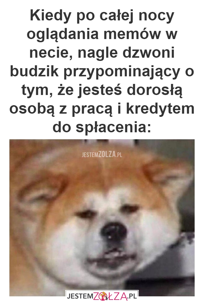 Kiedy po całej 
