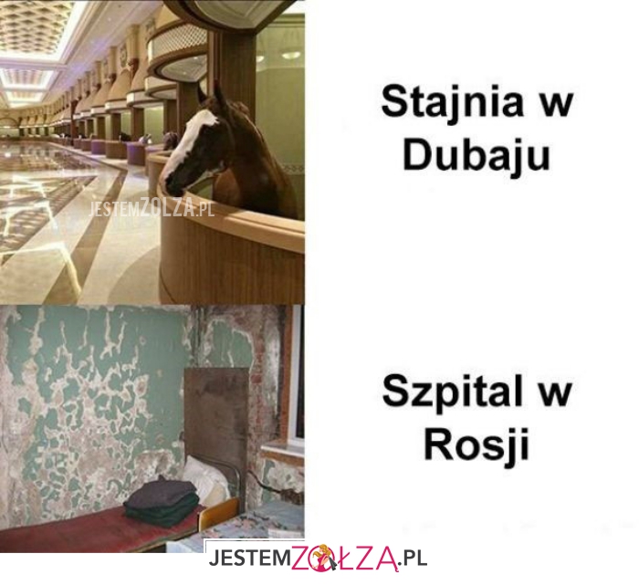 stajnia
