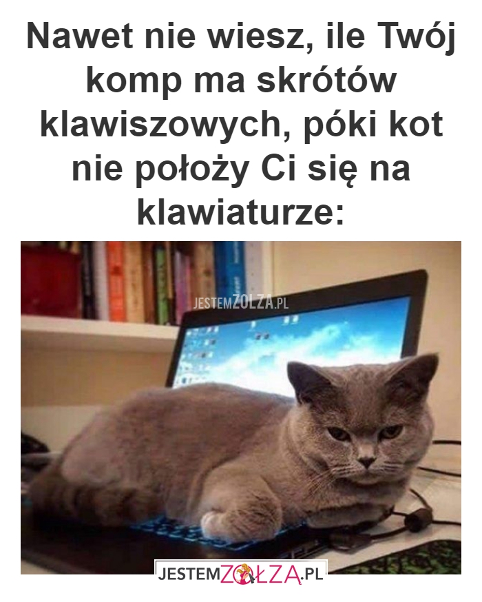 Nawet nie wiesz