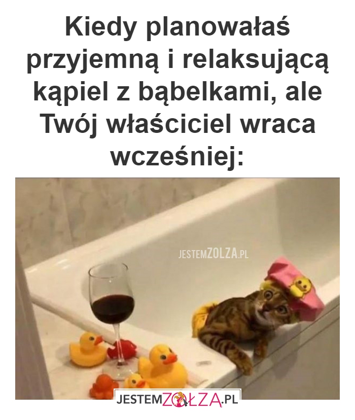 Kiedy planowałaś