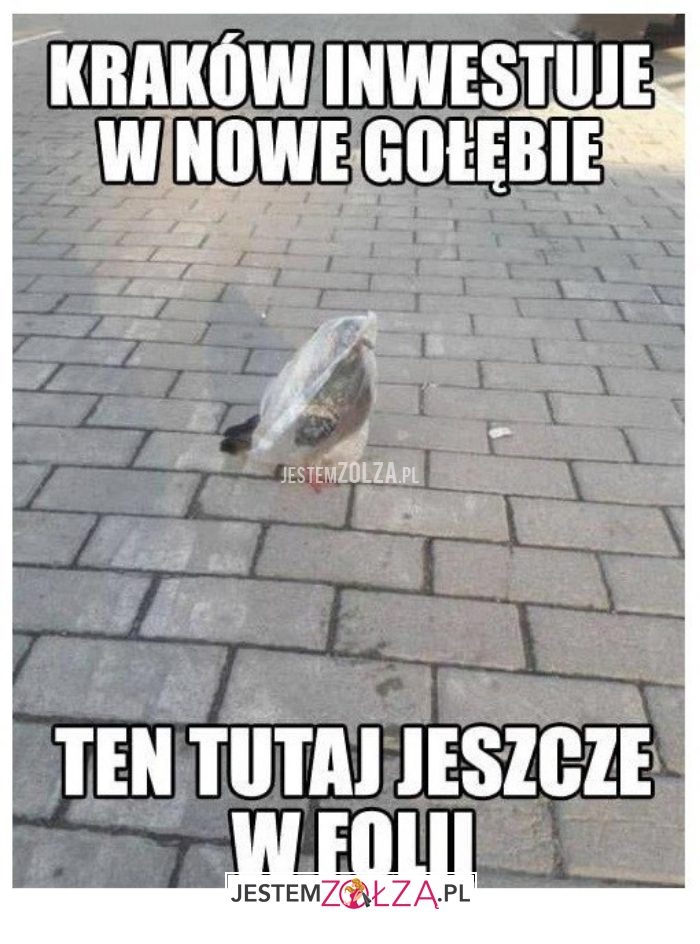 kraków inwestuje