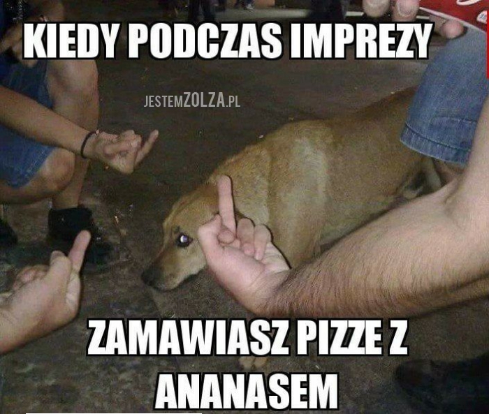 Podczas imprezy