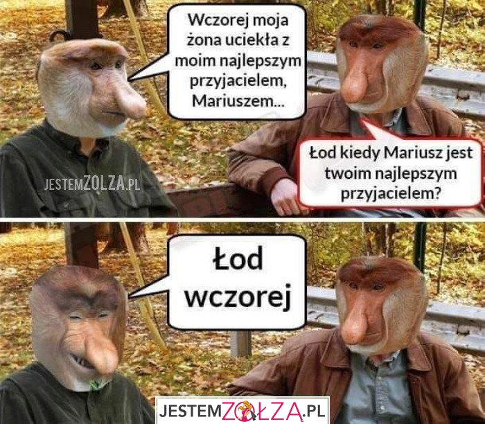 Uciekła żona...