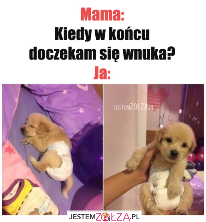Wnuk...