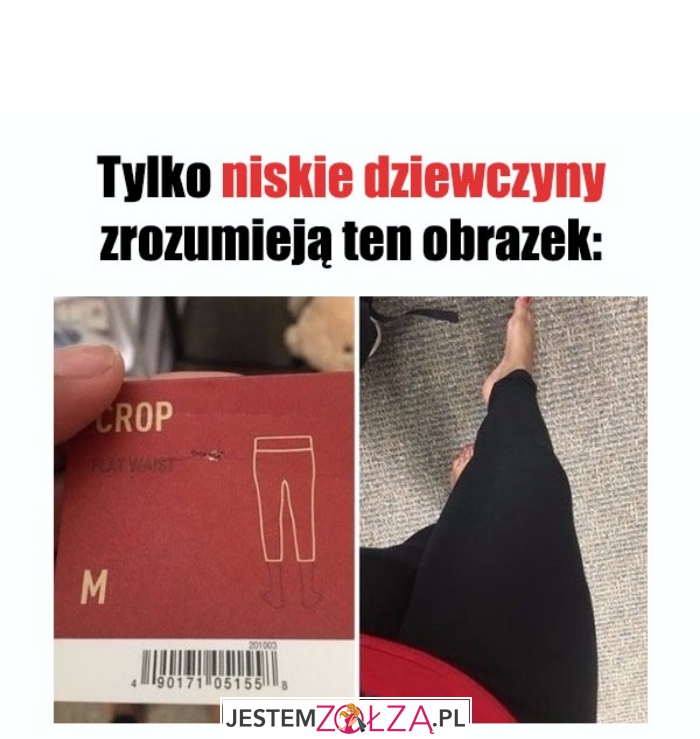 Niskie dziewczyny...