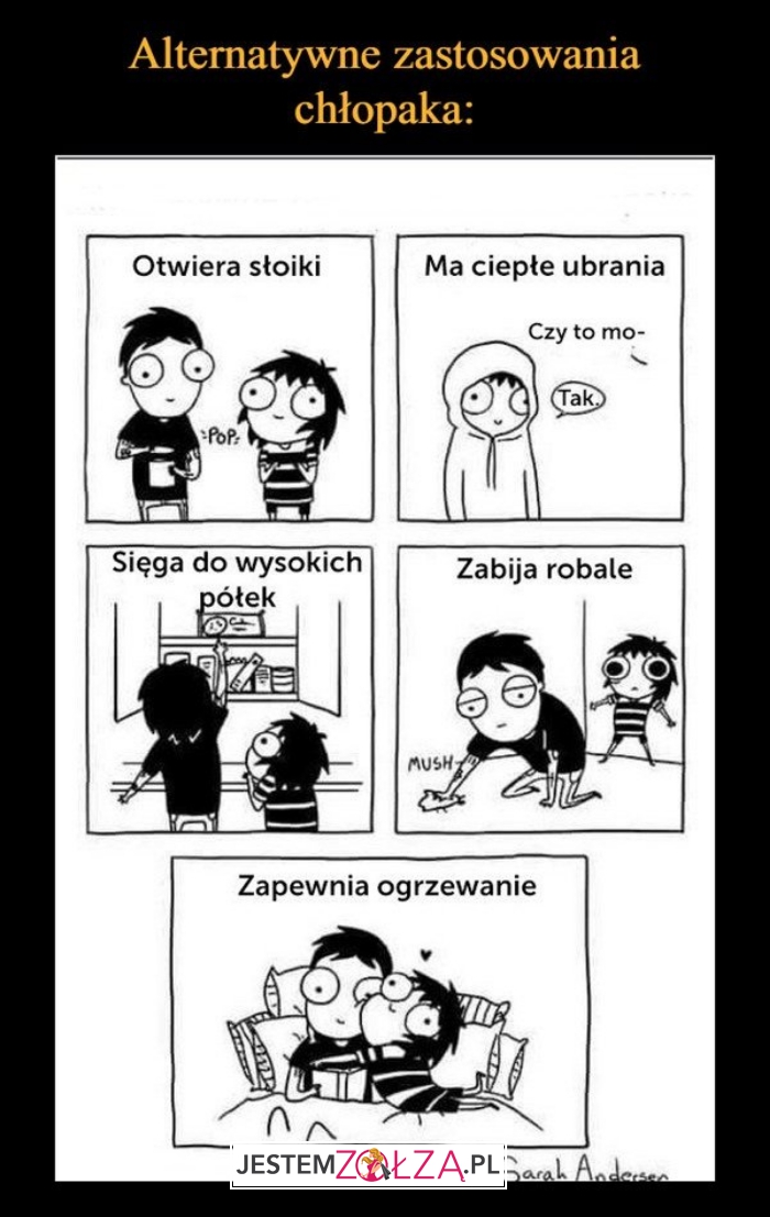 Zastosowanie chłopaka