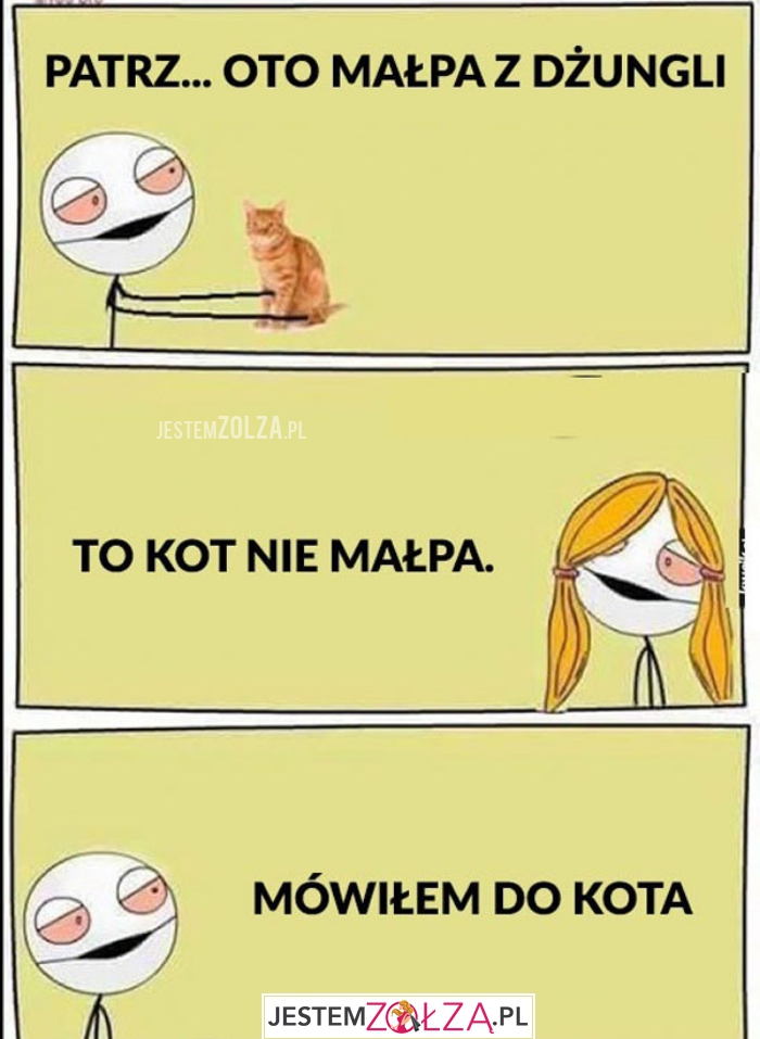 Małpa...