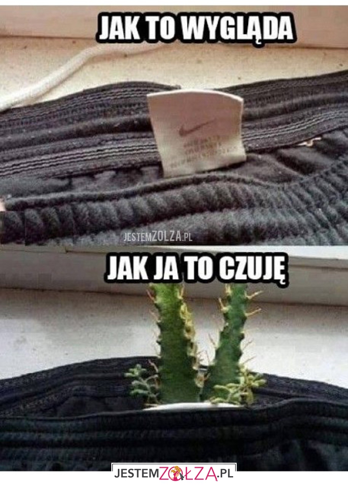 jak to wygląda
