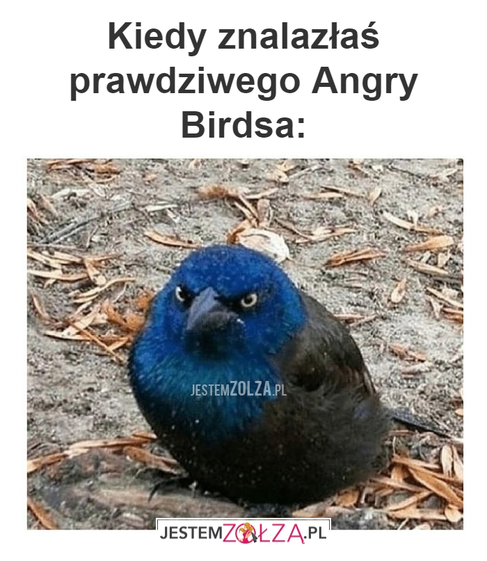Kiedy znalazłaś prawdziwego