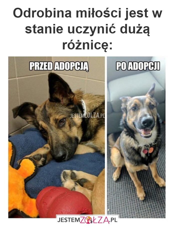 Odrobina miłości 