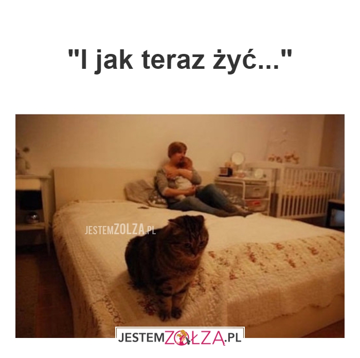I jak teraz żyć...