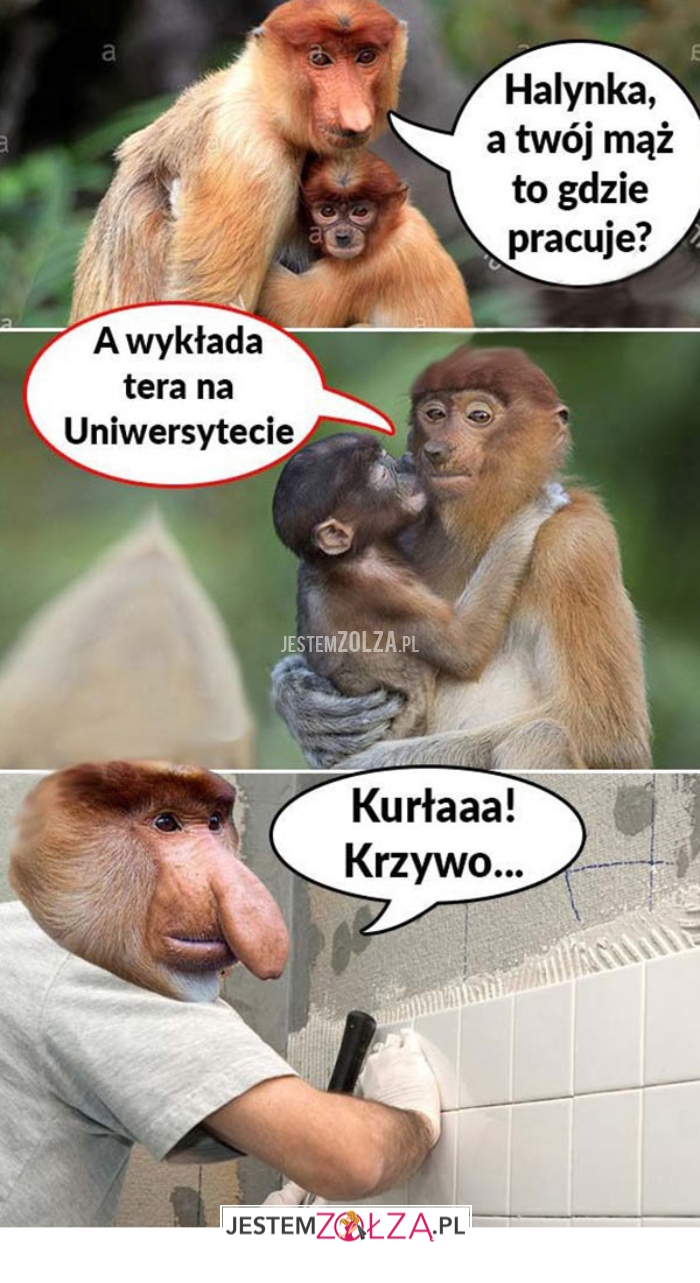halynka, a twój mąż