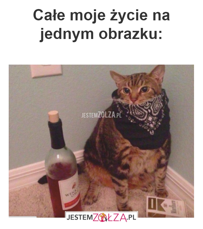 Całe moje życie 