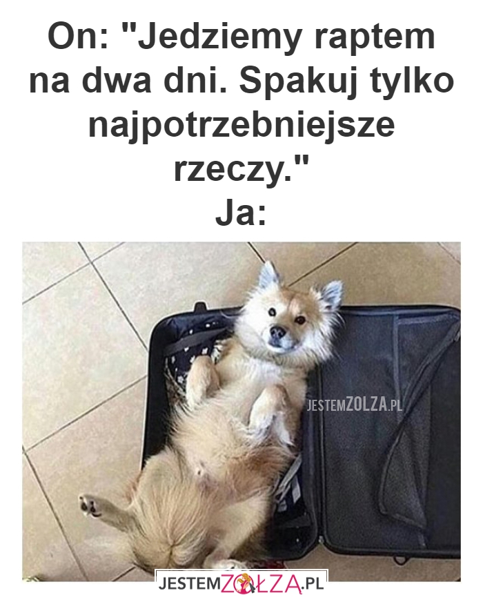 On: Jedziemy raptem 
