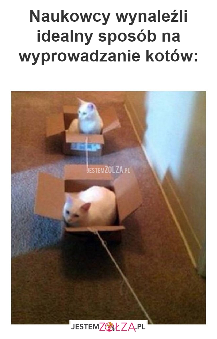 Naukowcy wynaleźli idealny 