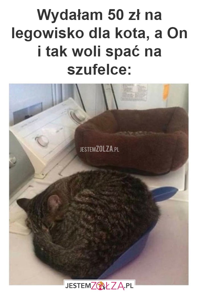 Wydałam 50 zł na