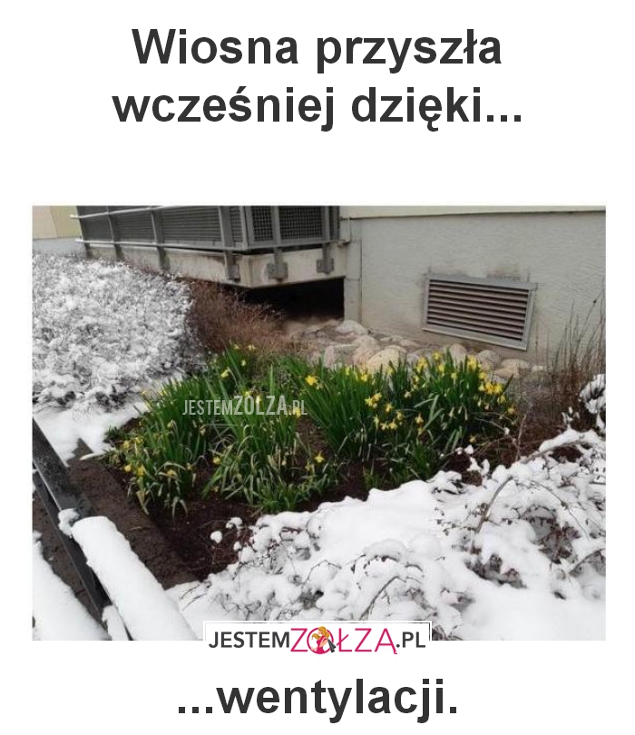 Wiosna przyszła