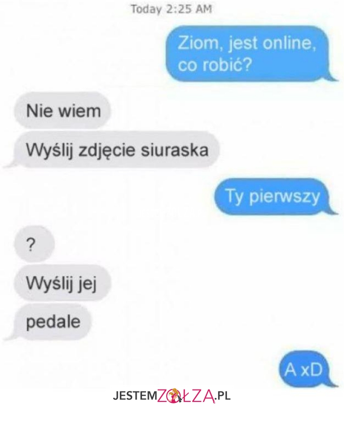 ziom, jest online